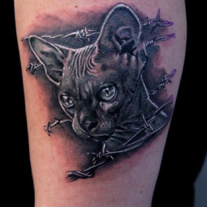 Igor Galaktik de Lyndsay sur Pauline
Réalisé par : 
Kel's Tatoo 
Sierre 