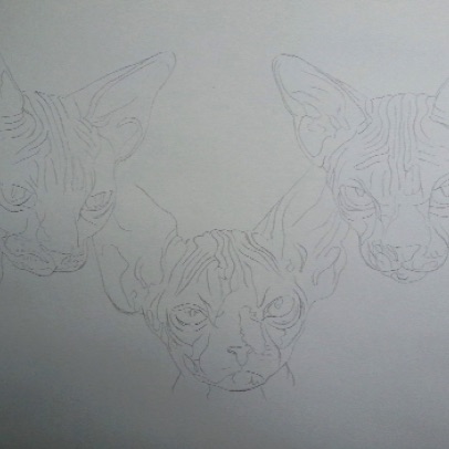 Hocus pocus, Jeyenne, et Aurora Boréalis de Lyndsay 